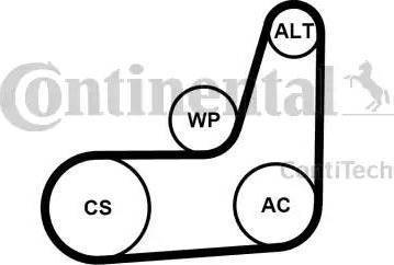 Continental 6PK1029 ELAST T2 - V-Ribbed Belt Set www.autospares.lv