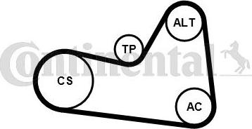 CONTITECH 6PK1033K1 - Ķīļrievu siksnu komplekts www.autospares.lv