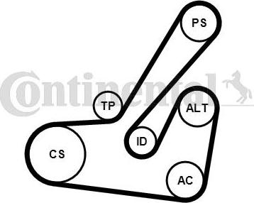 Contitech 6PK1145K2 - V-Ribbed Belt Set www.autospares.lv