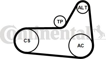 Contitech 6 PK 1180 K4 - Ķīļrievu siksnu komplekts www.autospares.lv