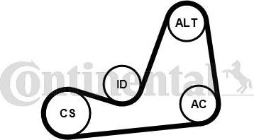 CONTITECH 6PK1130K4 - Ķīļrievu siksnu komplekts www.autospares.lv