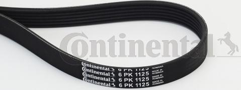 Contitech 6PK1125 - V-Ribbed Belt www.autospares.lv