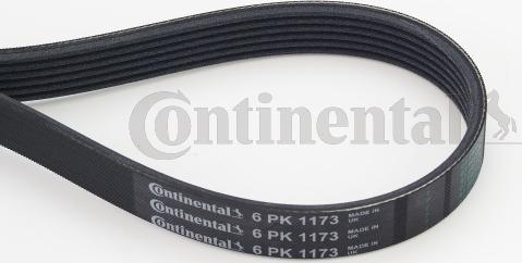 Contitech 6PK1173 - Поликлиновой ремень www.autospares.lv