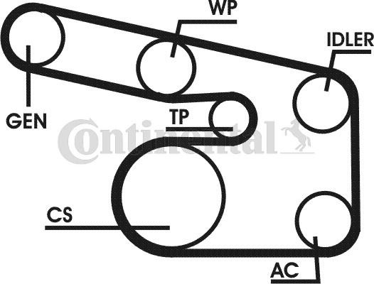 Contitech 6PK1863D1 - Ķīļrievu siksnu komplekts www.autospares.lv