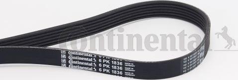 Contitech 6 PK 1836 - Поликлиновой ремень www.autospares.lv