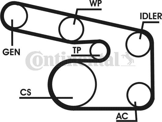 Contitech 6PK1873D1 - Ķīļrievu siksnu komplekts www.autospares.lv