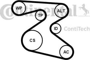 Continental 6PK1873K1 - V-Ribbed Belt Set www.autospares.lv