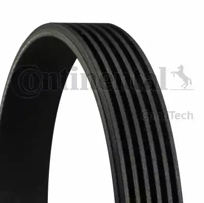 Continental 6PK1256 - V-Ribbed Belt www.autospares.lv