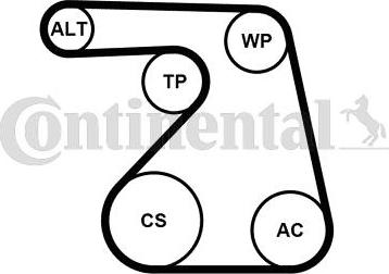 Contitech 6PK1217K2 - Поликлиновый ременный комплект www.autospares.lv