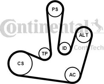 Continental 6PK1795K1 - Поликлиновый ременный комплект www.autospares.lv