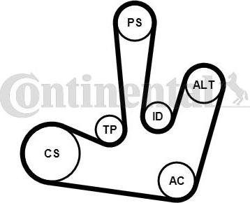 Contitech 6PK1795K1 - Ķīļrievu siksnu komplekts www.autospares.lv