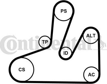Contitech 6PK1740K4 - Ķīļrievu siksnu komplekts autospares.lv