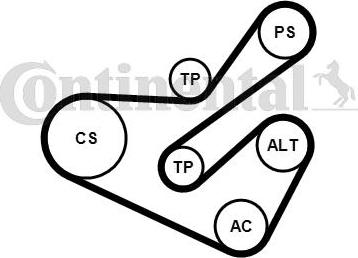 Contitech 6PK1740K1 - Поликлиновый ременный комплект www.autospares.lv