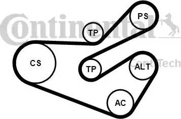 Continental 6PK1740K3 - Ķīļrievu siksnu komplekts www.autospares.lv