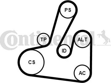 Contitech 6PK1705K2 - Ķīļrievu siksnu komplekts www.autospares.lv