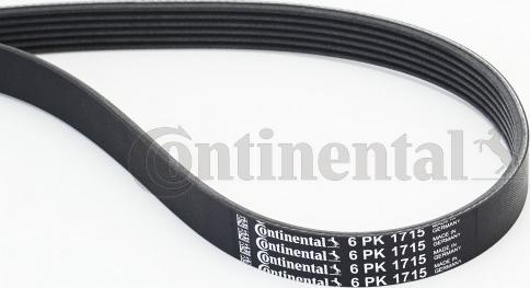 Contitech 6PK1715 - V-Ribbed Belt www.autospares.lv