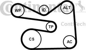 Continental 6PK1733K3 - Ķīļrievu siksnu komplekts www.autospares.lv