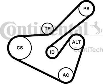 Continental 6PK1725K2 - Ķīļrievu siksnu komplekts www.autospares.lv