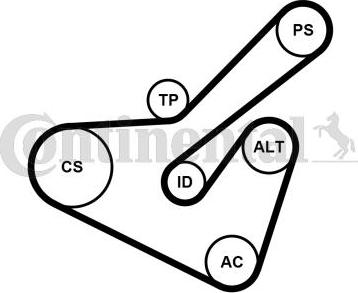 Contitech 6PK1725K2 - Ķīļrievu siksnu komplekts www.autospares.lv