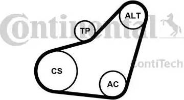 Continental 6PK800K1 - Ķīļrievu siksnu komplekts www.autospares.lv