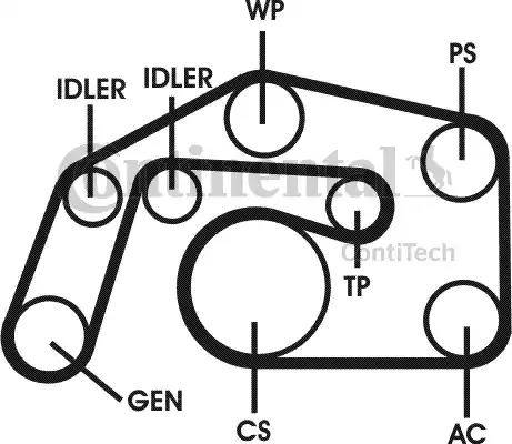 Continental 6PK2460D1 - Поликлиновый ременный комплект www.autospares.lv