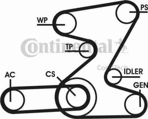 Continental 6PK2080D2 - Ķīļrievu siksna autospares.lv