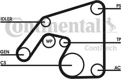 Continental 6PK2390D1 - Ķīļrievu siksnu komplekts www.autospares.lv