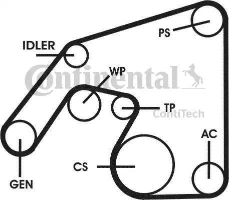 Continental 6PK2240D1 - V-Ribbed Belt www.autospares.lv