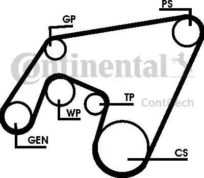 Continental 6PK2264D1 - Ķīļrievu siksnu komplekts www.autospares.lv