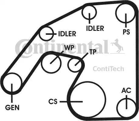 Continental 6PK2260D1 - Ķīļrievu siksnu komplekts www.autospares.lv