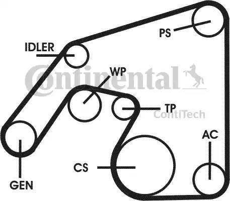 Continental 6PK2260D3 - Ķīļrievu siksnu komplekts www.autospares.lv