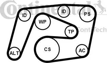 Continental 6PK2260K1 - Ķīļrievu siksnu komplekts www.autospares.lv