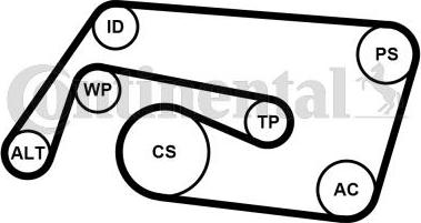 Contitech 6PK2260K2 - Ķīļrievu siksnu komplekts www.autospares.lv