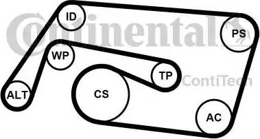 Continental 6PK2260K2 - Поликлиновый ременный комплект www.autospares.lv