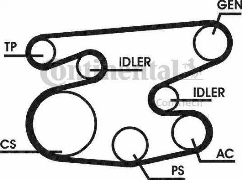 Continental 6PK2215D1 - Ķīļrievu siksnu komplekts autospares.lv