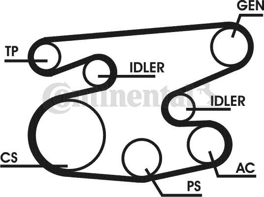 Contitech 6PK2215D1 - Поликлиновый ременный комплект www.autospares.lv