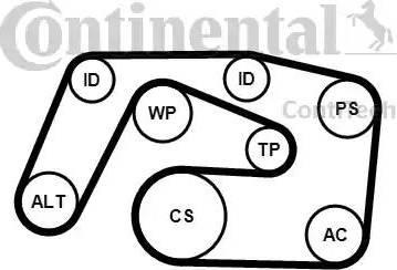 Continental 6PK2271K1 - Поликлиновый ременный комплект www.autospares.lv