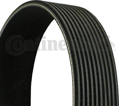 Contitech 10 PK 1494 - V-Ribbed Belt www.autospares.lv