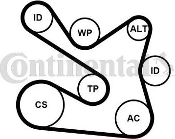 Continental 7PK1605K1 - Siksnas spriegotājs, Ķīļsiksna autospares.lv