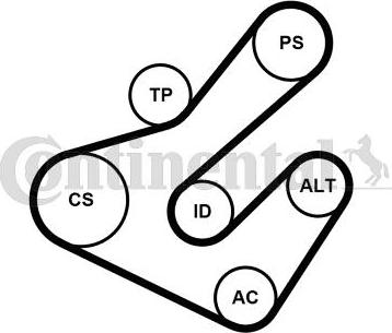 Continental 7PK1795K2 - Поликлиновый ременный комплект www.autospares.lv