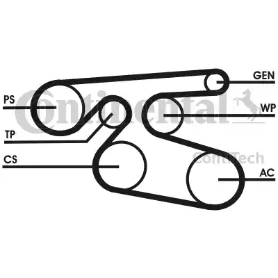 Continental 7PK2000 - Ķīļrievu siksna www.autospares.lv