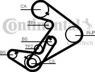 Continental CT938 - Timing Belt www.autospares.lv