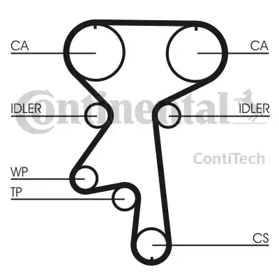 Continental CT924 - Timing Belt www.autospares.lv