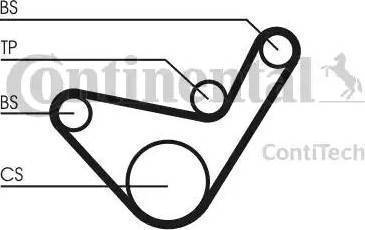 Continental CT1107 - Timing Belt www.autospares.lv