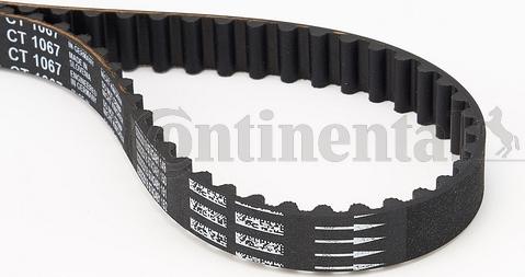 Contitech CT 1067 - Timing Belt www.autospares.lv