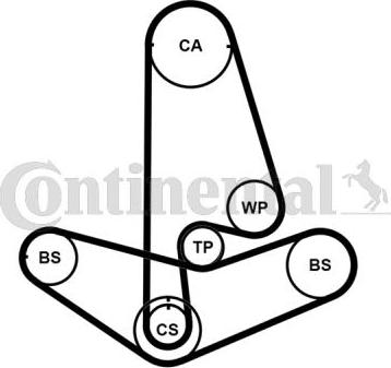 Continental CT1001K2PRO - Комплект зубчатого ремня ГРМ www.autospares.lv