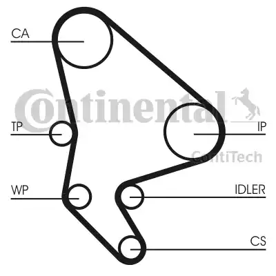 Continental CT 1037 - Зубчатый ремень ГРМ www.autospares.lv