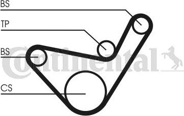 Contitech CT 1107 - Zobsiksna www.autospares.lv