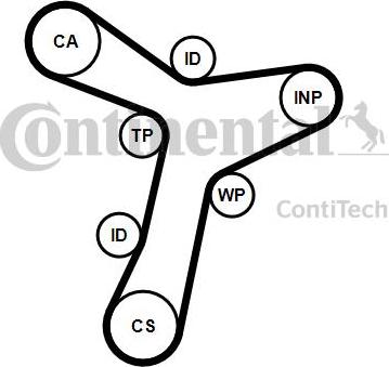 Continental CT1229 - Зубчатый ремень ГРМ www.autospares.lv