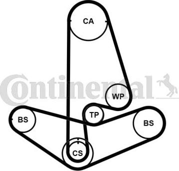 Continental CT799K2PRO - Комплект зубчатого ремня ГРМ www.autospares.lv